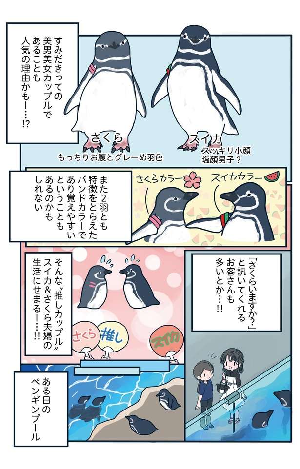 SNSで人気の「ペンギン関係マンガ」 密かに愛を育んだ「美男美女カップル」の生活とは？ 89支持率No.1カップルが愛おしい「下町ペンギン物語」第十二話2.jpg