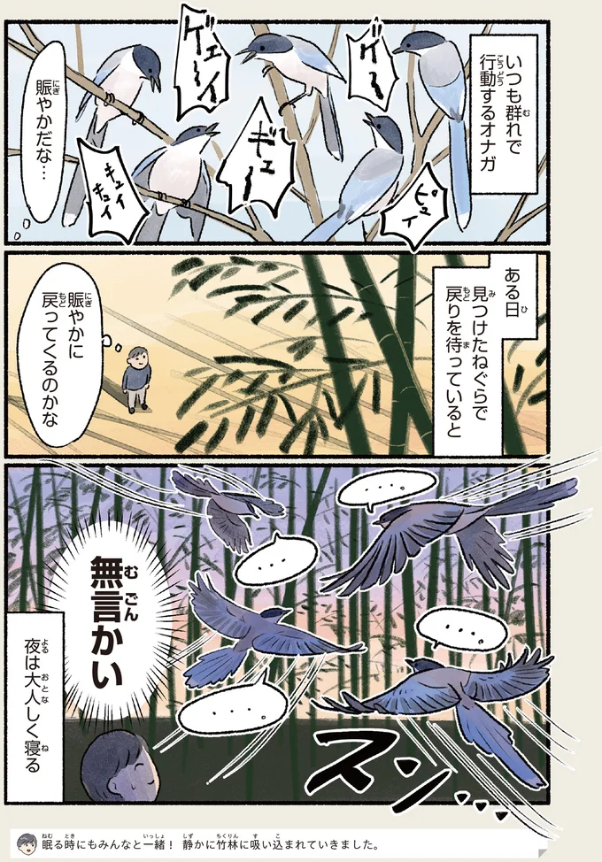 『意外と知らない鳥の生活 1〜2』 342.webp