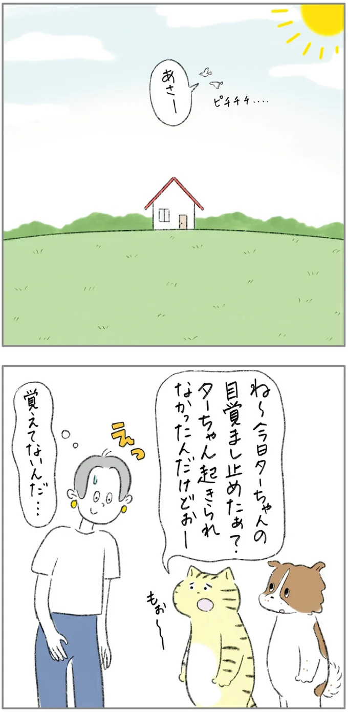 『ターとアグのしあわせ日和 元ノラ猫と元保護犬、ふたりは親友』 07-12.png