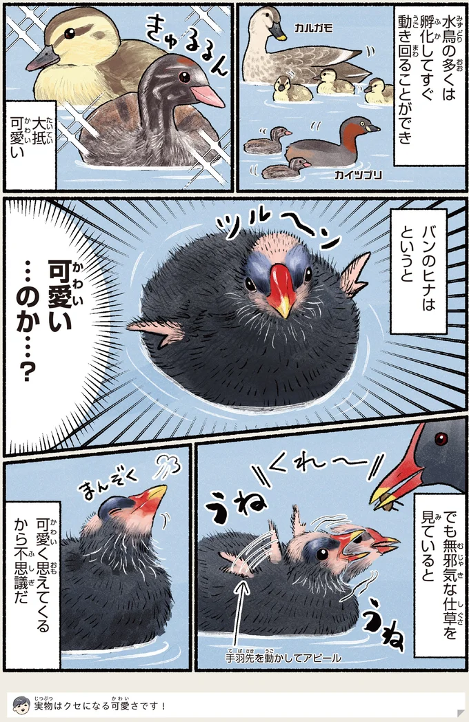 『意外と知らない鳥の生活 1〜2』 352.webp