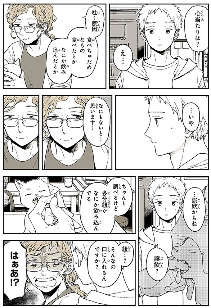 愛する猫の体調が急変！ 獣医師の指摘に飼い主が真っ青に...／特別じゃない日 15667057.webp