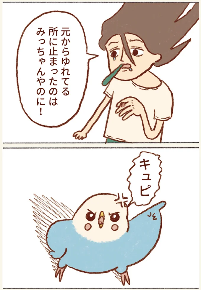 『プジェ日記！ 幸せを運ぶインコのみっちゃん』 84.webp