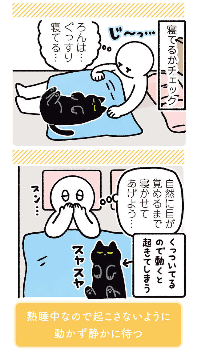 猫の「肉球より触り心地がいいところ」。ここを夢中でさわりすぎると...／黒猫ろんと暮らしたら 11.jpg