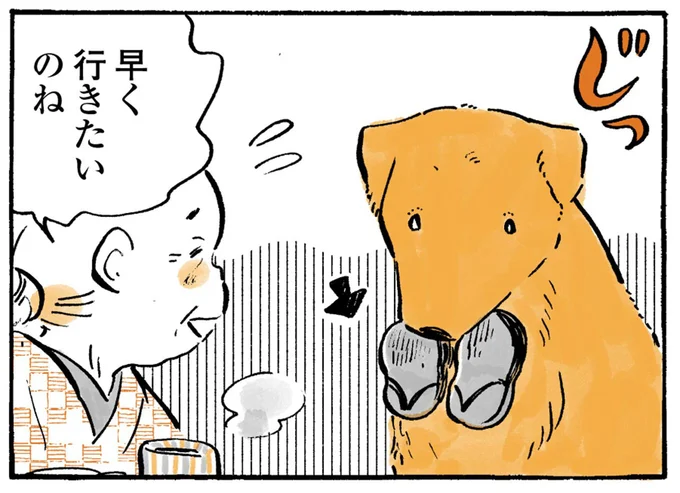 ワフッ...散歩を催促する犬。おばあちゃんが「わかってますよ」と言っても...／姫ばあちゃんとナイト