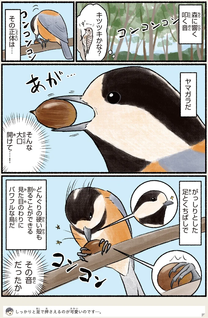 『意外と知らない鳥の生活 1〜2』 361.webp