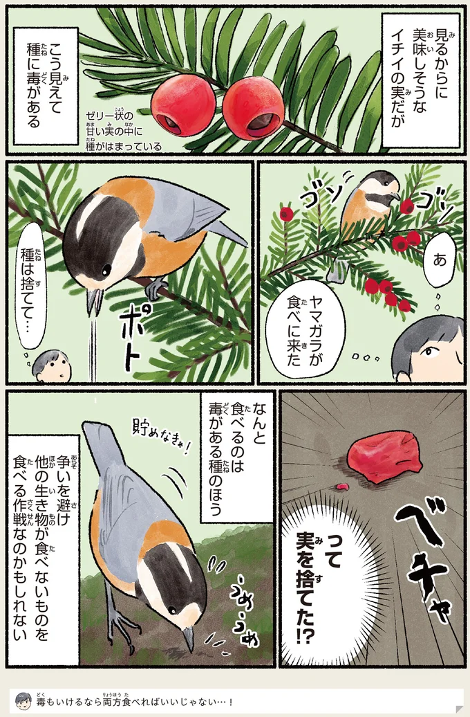 『意外と知らない鳥の生活 1〜2』 362.webp