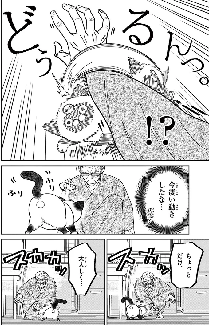 野良猫が戦闘モードに！ 猫の額についたシールをはがすために悪戦苦闘／オヤジとにゃん吉 16215699.webp