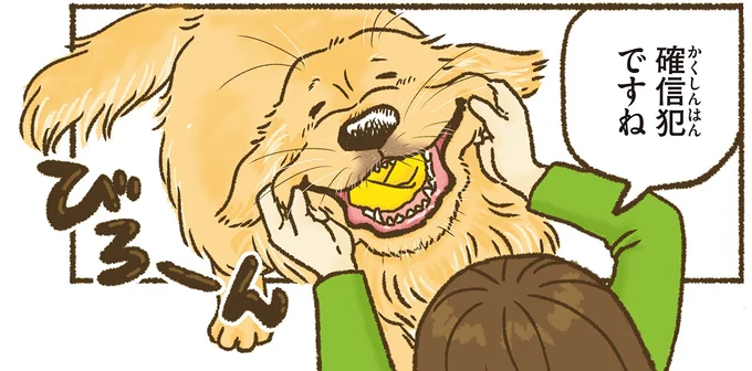 愛犬レトリバーは、車に乗るときどんくさい...。でもそんな姿も／今日もゴールデンレトリバーに癒されて 15712368.webp