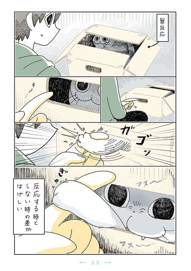 ガゴン‼ 猫が突然反応してきた時の「この顔」／夜は猫といっしょ3 yoruhanekoto3_33.jpg