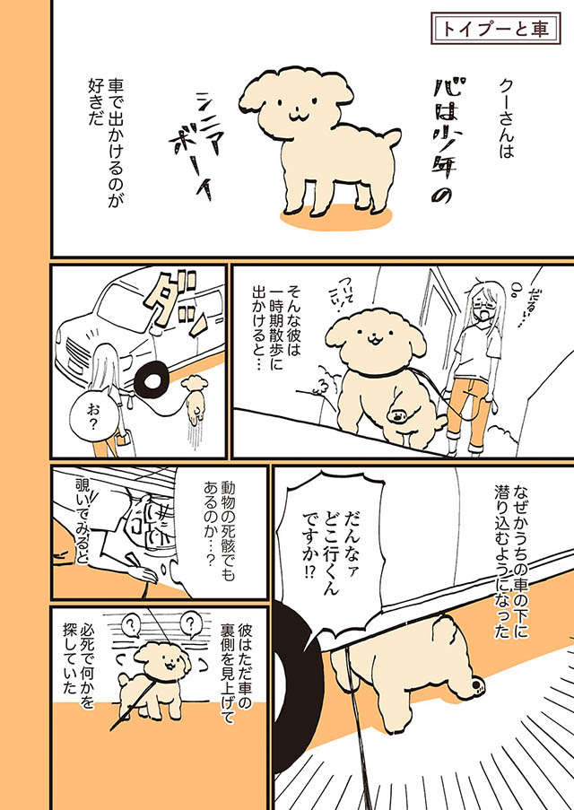 「自力で車を動かす気か⁉」 愛犬が車の下から押すようになって...／うちのトイプーがアイドルすぎる。 toipu24_01.jpg