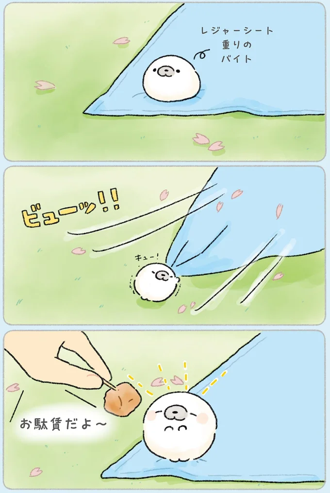 『ちょこんとあざらし』 102.webp