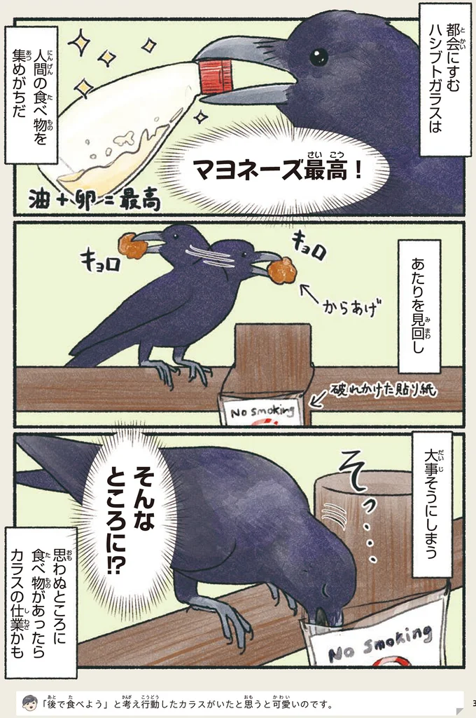 隠すところは見ないで。カラスは妙なところに食べ物を隠しがち／意外と知らない鳥の生活 61.webp