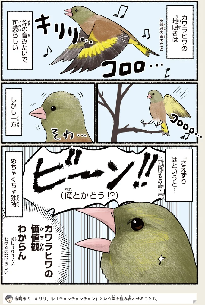 『意外と知らない鳥の生活 1〜2』 372.webp