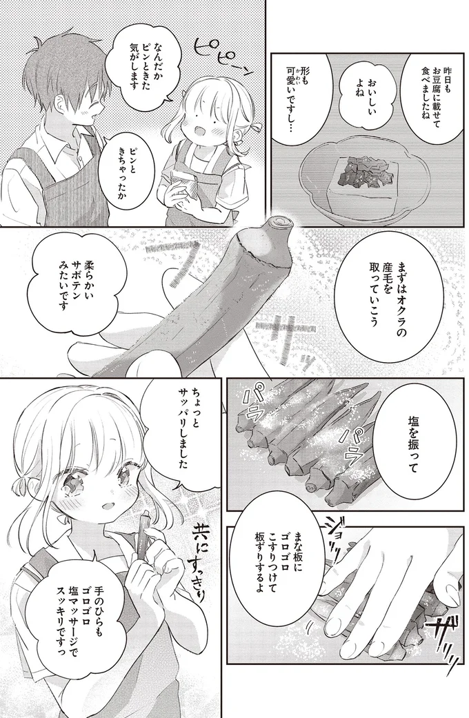 オクラを輪切りにしたら星みたい！星空が見たいという従妹のための料理は／さんしょく弁当3 19-01.png