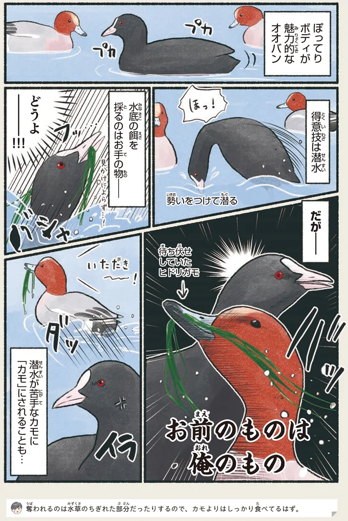 なんでもこなせる「器用貧乏」。しかしなぜか...残念な鳥とは／意外と知らない鳥の生活 1.png