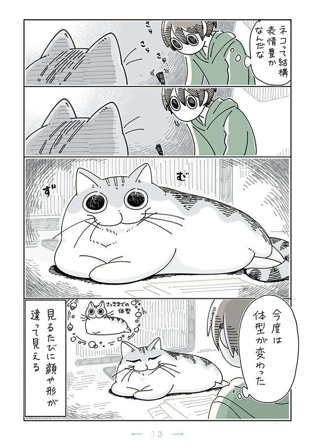 「あれ...」うちの猫、こんな貫禄ある顔してたっけ？ 表情豊かなだけでもなくて／夜は猫といっしょ3 yoruhanekoto3_13.jpg