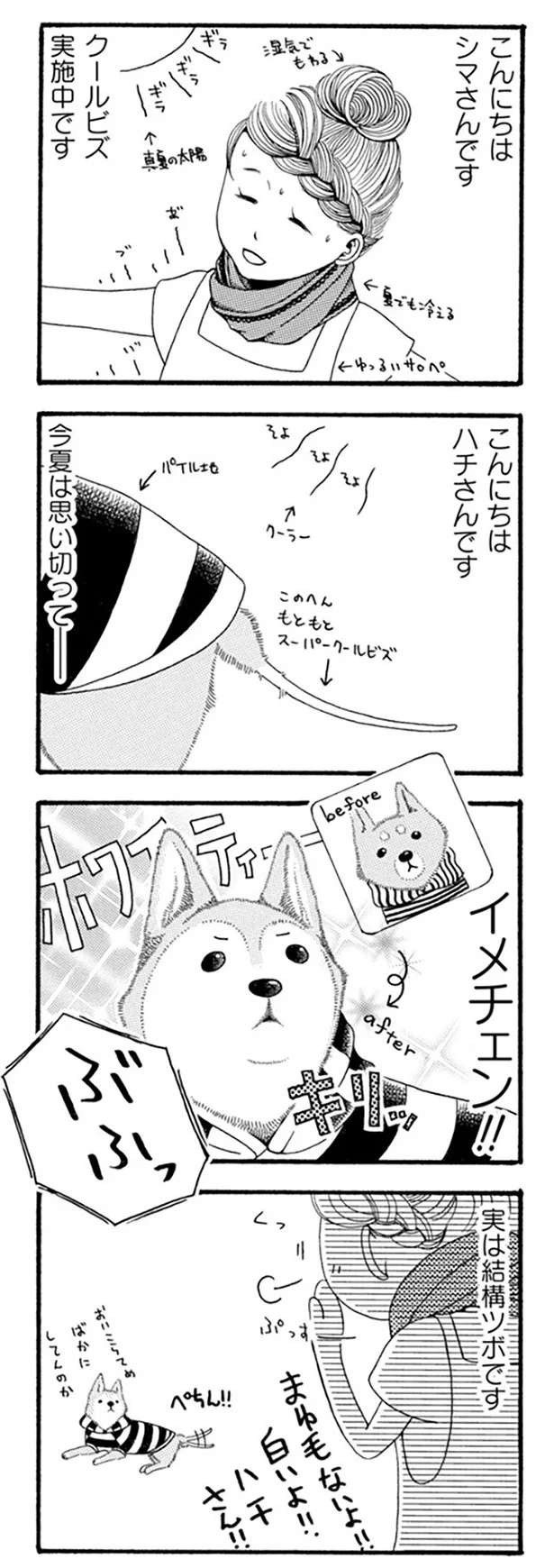 『96歳の柴犬ハチさんは、今日もお散歩しています。』 32.webp