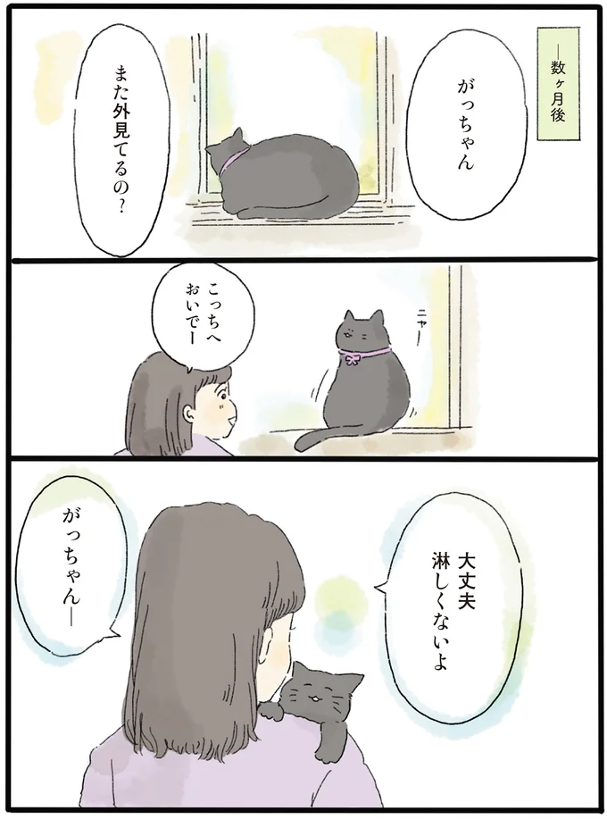 猫だけは幸せになってほしい。余命宣告を受けたおじいさんが「涙した理由」／泣きたい夜の甘味処 14615552.webp