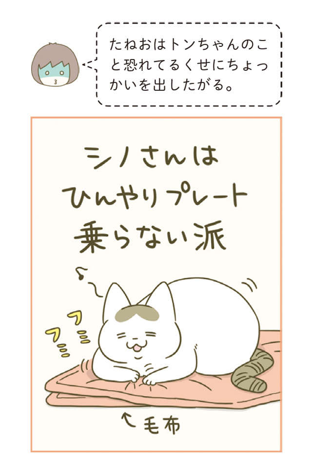 「なんか怖い」猫が飼い主の汗を舐めたら...豹変！／うちの猫がまた変なことしてる。4 12.jpg