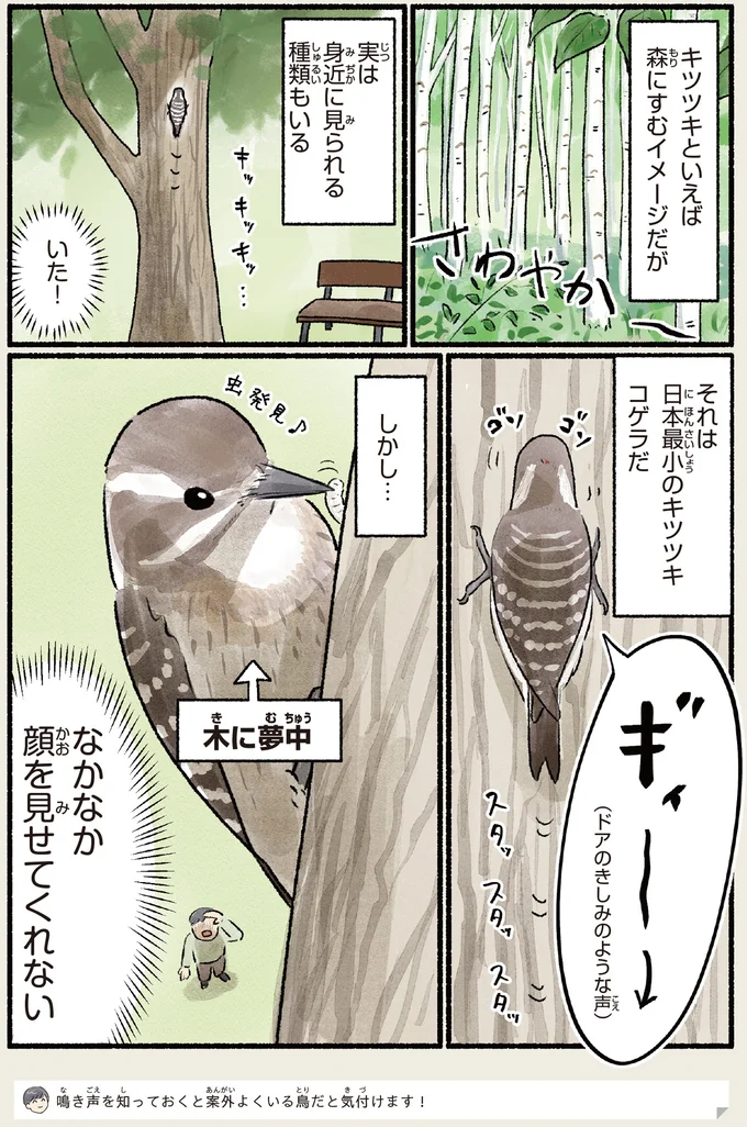 『意外と知らない鳥の生活 1〜2』 391.webp