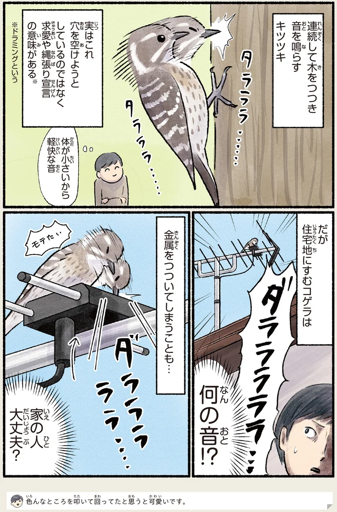『意外と知らない鳥の生活 1〜2』 392.webp