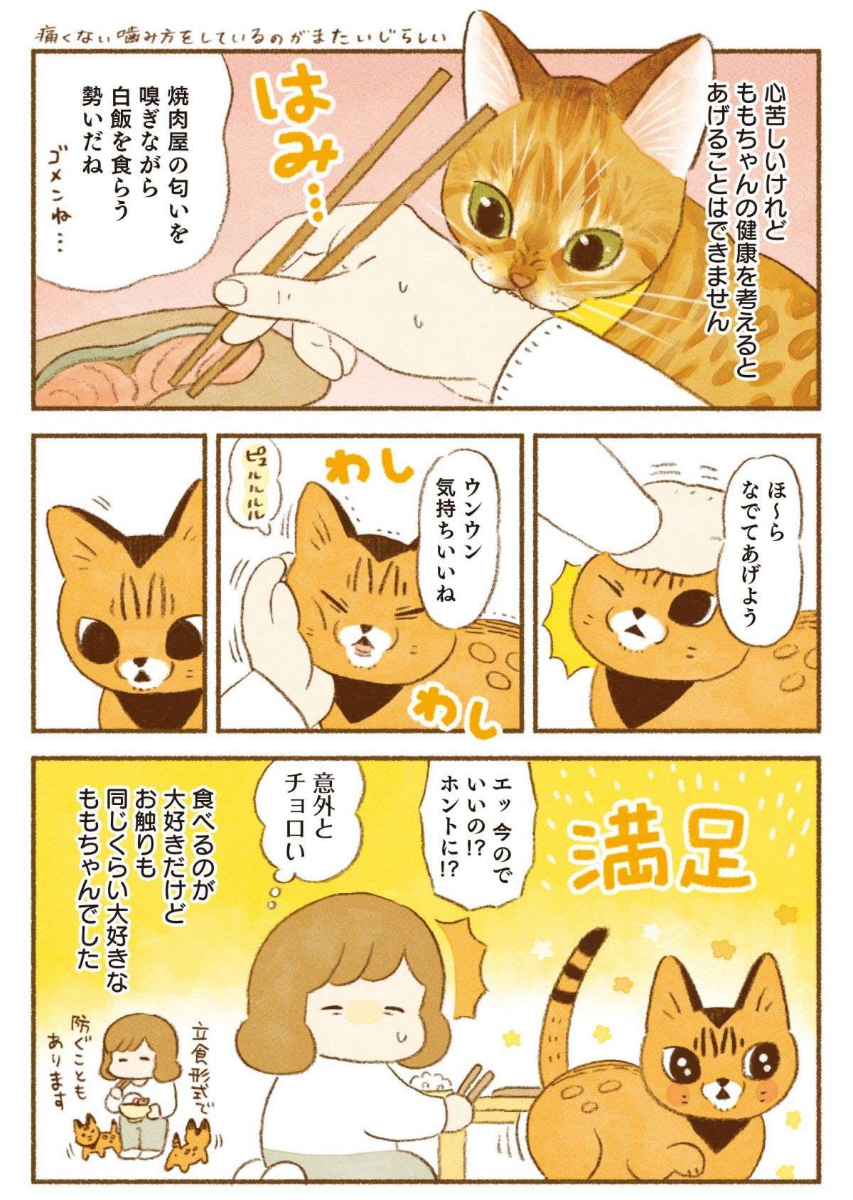 「猫が人間の食べ物を食べようとする問題」。え、それでいいの？／しまねこ3姉妹と暮らしています 13.jpg