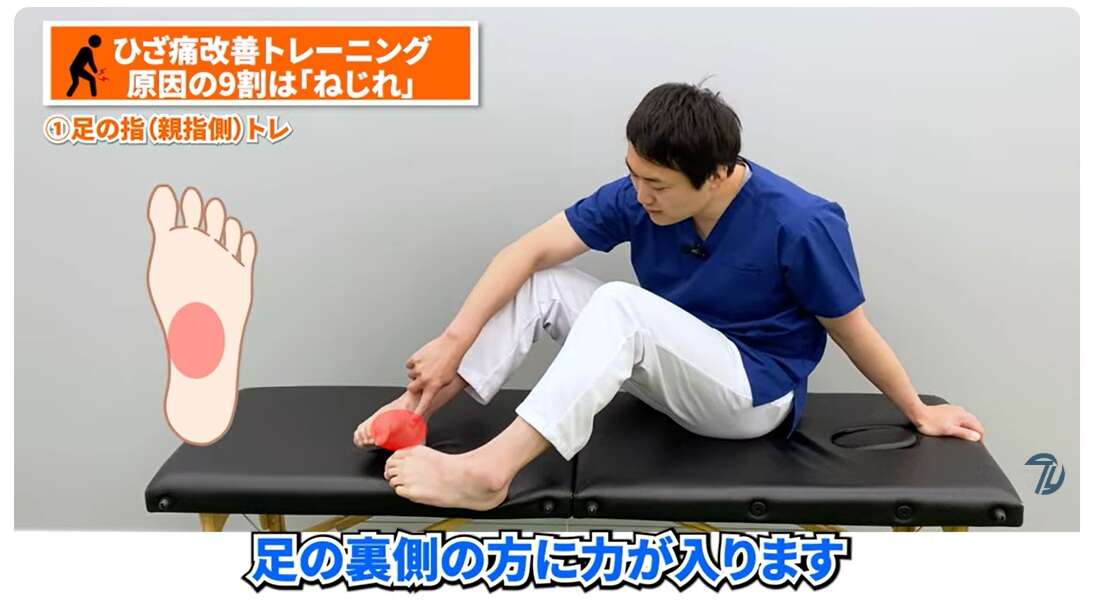 「膝の痛み」を抱える50代女性は42.1%。慢性的な膝の痛み解消のための簡単トレーニング【理学療法士が解説】 母子球筋.jpg