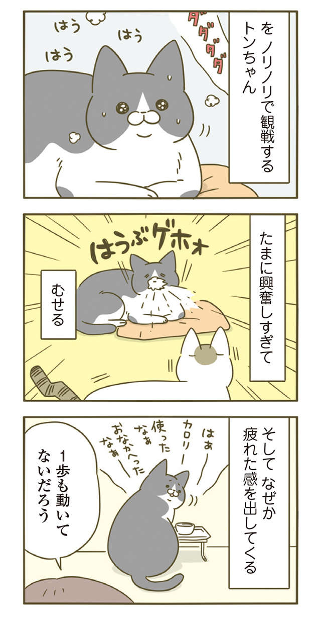 猫が「違うだろ」って顔...たまにこういうこともあるんです／うちの猫がまた変なことしてる。4 11.jpg