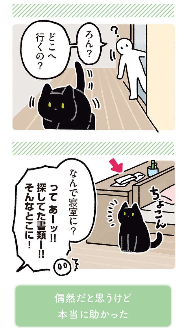 うちの猫の「不思議な出来事」。誘われるままについていったら...！／黒猫ろんと暮らしたら 11.jpg