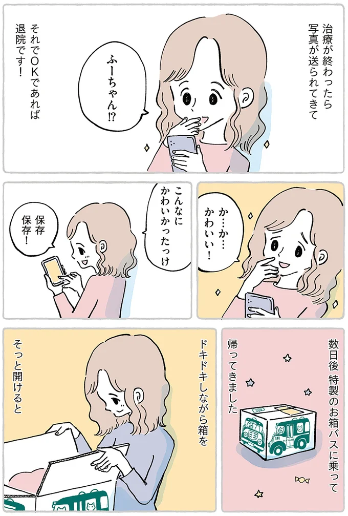 離れるのは寂しくて不安だけど。ずっと一緒だった大事な子を「ぬいぐるみ病院」へ／わたしのぬいぐるみさん 15867515.webp