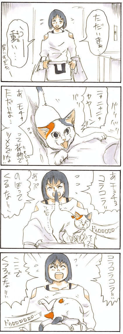 爪とぎに熱中する愛猫。飼い主がぼーっと見ていたら、突然!?／拾い猫のモチャ 11.jpg