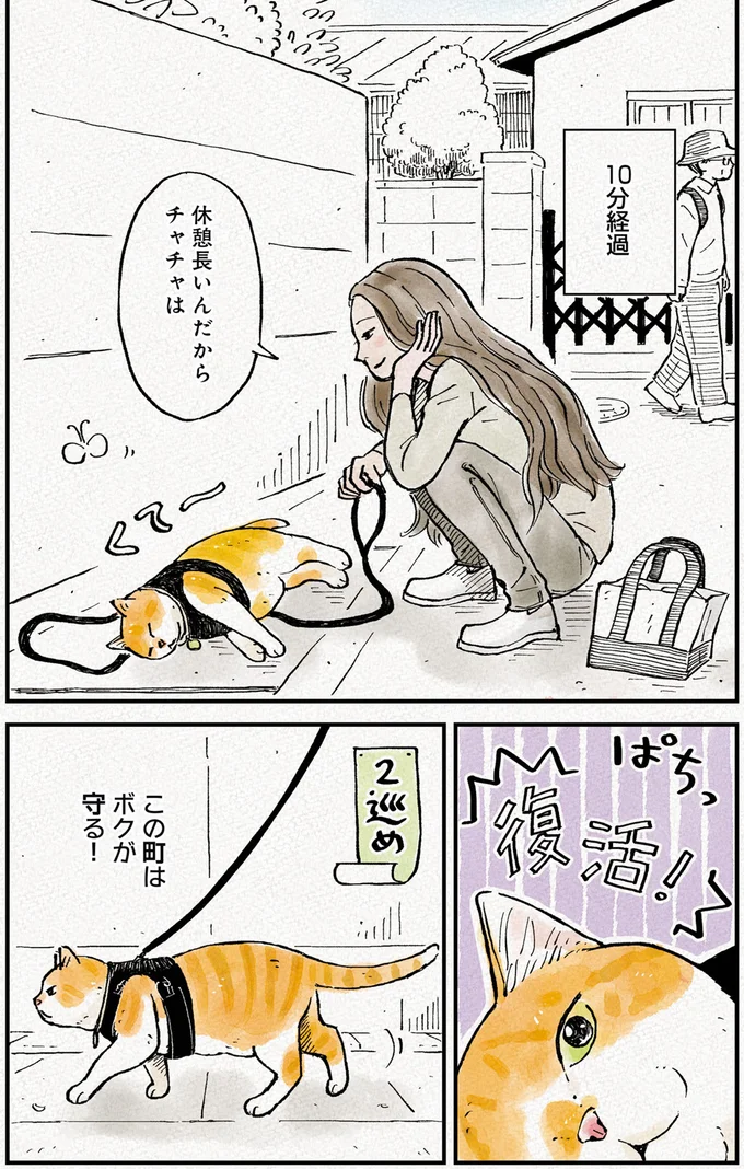 『元野良猫チャチャ 本日も見まわり中』 04-05.png
