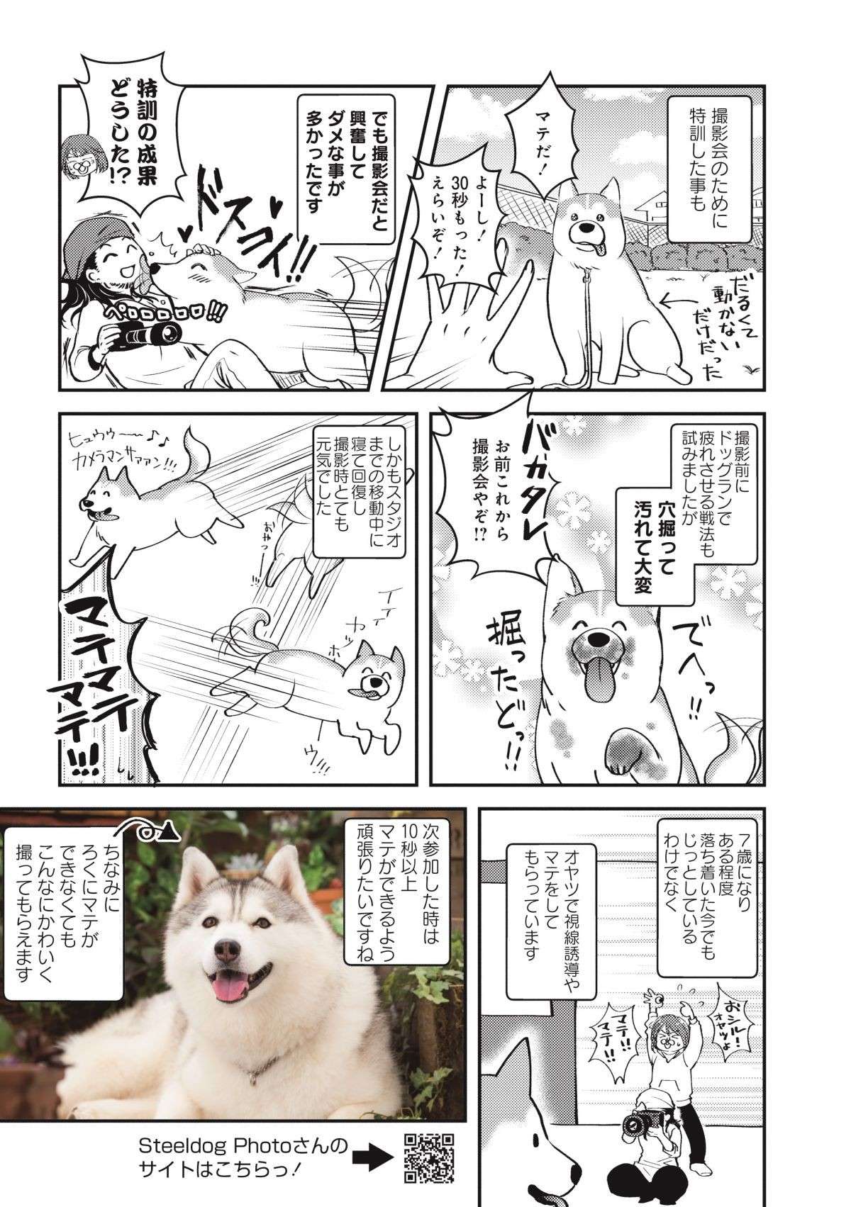 飼い主が帰宅しても喜ばない愛犬。珍しく喜んでくれた3秒後の「早すぎる変化」／猫とハスキーとハマジ1 7.jpg