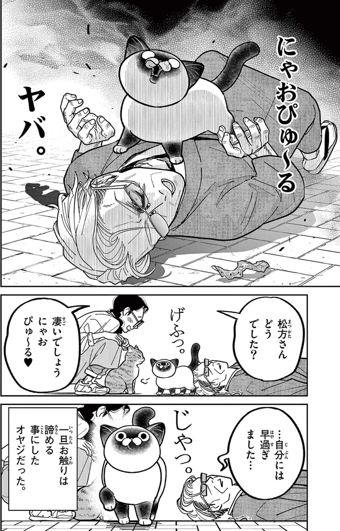 「野良猫を撫でたい！」例のブツの投入で近づいてきたが...えっ？／オヤジとにゃん吉 16223130.webp