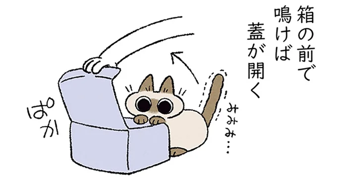 「あめとめて」。愛猫が訴えてくるけれど、さすがにそれは無理...／シャム猫あずきさんは世界の中心