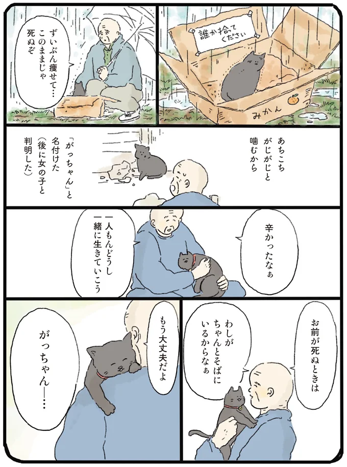 猫だけは幸せになってほしい。余命宣告を受けたおじいさんが「涙した理由」／泣きたい夜の甘味処 14615546.webp