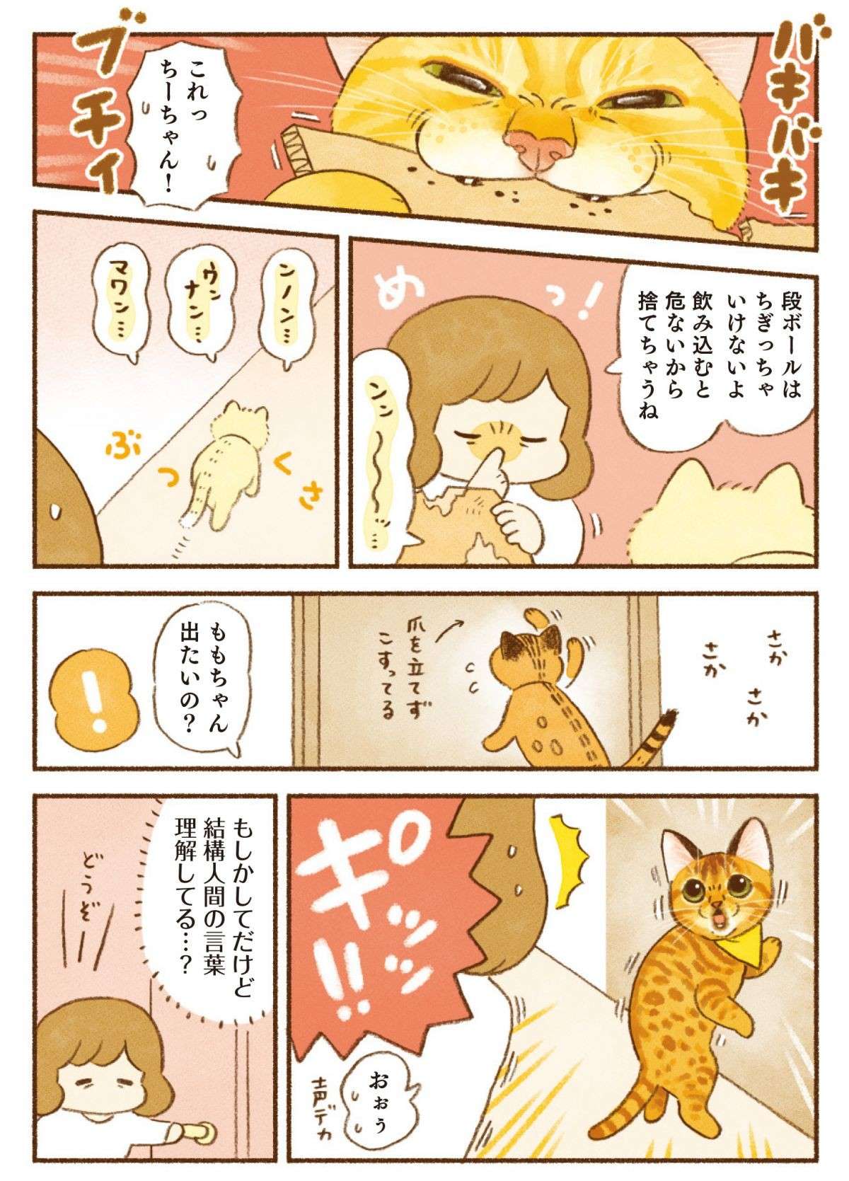 「絶対わかって反応している」猫たちは人間の言葉を覚えている？／しまねこ3姉妹と暮らしています 12.jpg