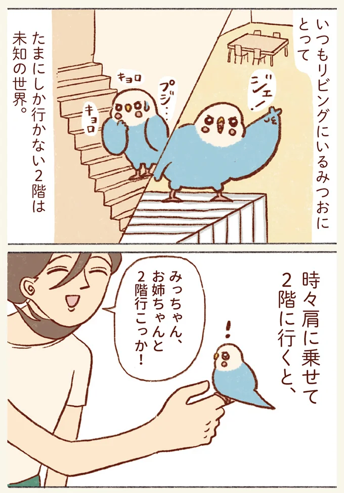 『プジェ日記！ 幸せを運ぶインコのみっちゃん』 21.webp