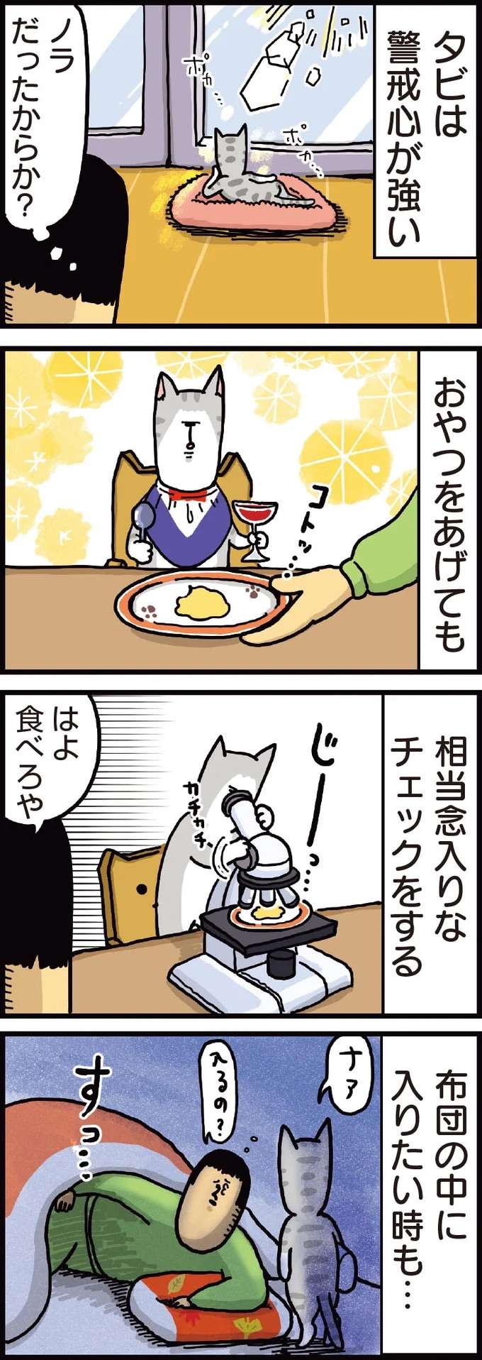 猫が布団に入る時の「コレ」なんなの？ 警戒心が...！／まめきちまめこニートの日常 1 mameko5_1.jpeg