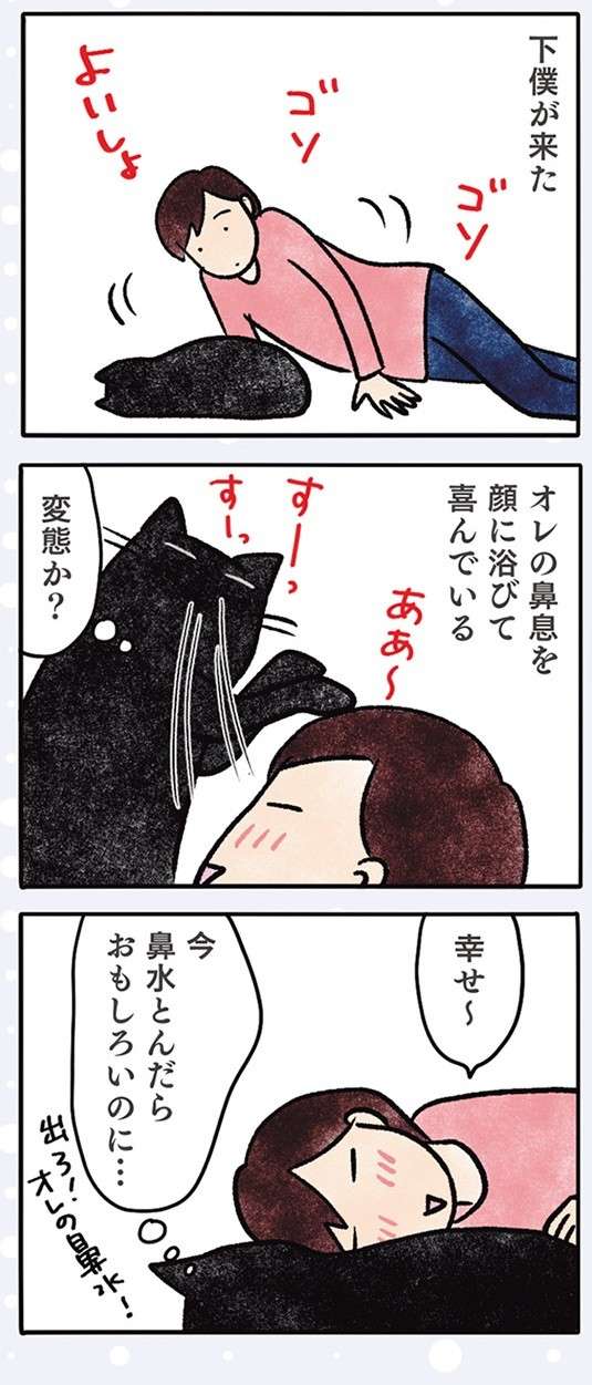 「飽きたん？」猫はおもちゃを動かしても無反応。その「猫っぽい理由」は／黒猫ナノとキジシロ猫きなこ kuroneko_nano11-2.jpg