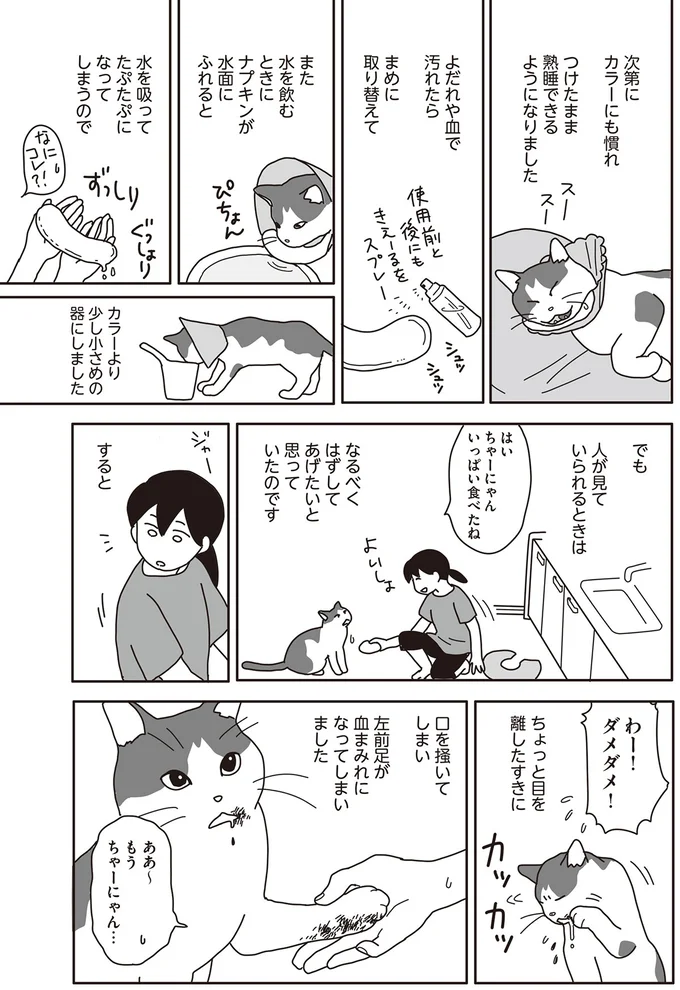 『世界一幸せな飼い主にしてくれた猫』 17-01.png