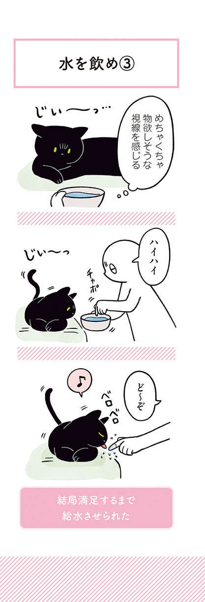 「水は飲みたいが眠い」猫。飼い主がちょっと協力した結果...／黒猫ろんと暮らしたら2 13.jpg