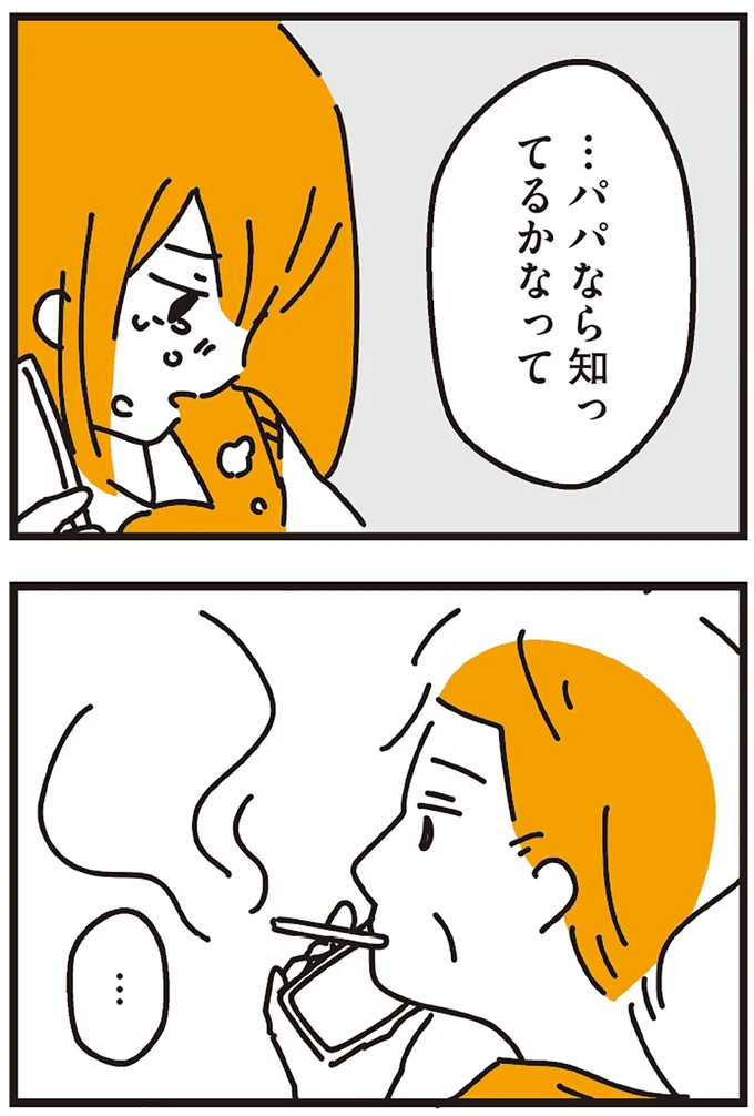 『不倫の子だなんて知りたくなかった』 146.webp