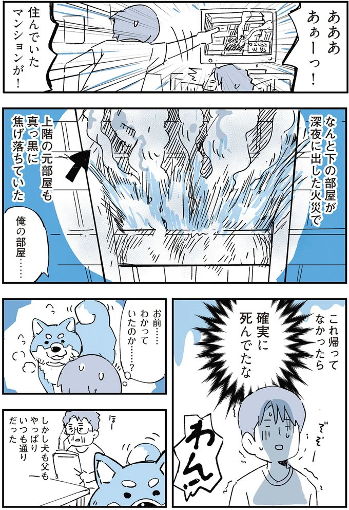 『いつもきみのそばに 動物たちが残した25個の不思議なメッセージ』 06-04.png