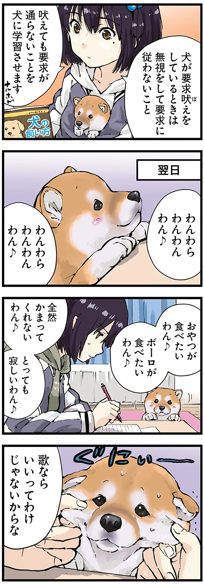 ハロウィーンに大興奮の柴犬。その理由が...和犬なのに？／世界の終わりに柴犬と 3.png