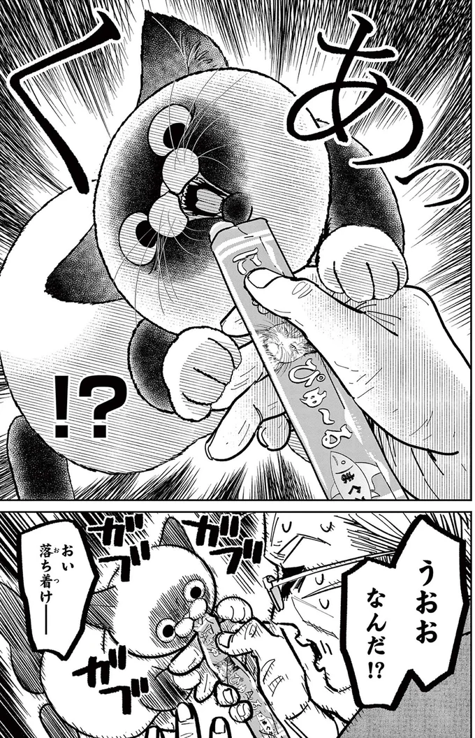 「野良猫を撫でたい！」例のブツの投入で近づいてきたが...えっ？／オヤジとにゃん吉 16223127.webp