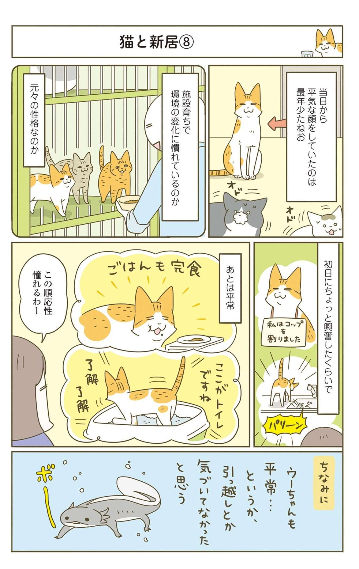 猫の「空腹アピール」はもはや脅迫。でも引っ越ししたら様子が変わって...／うちの猫がまた変なことしてる。7 11.jpg