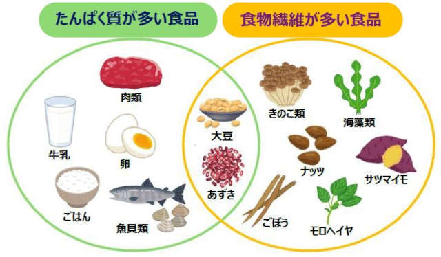 猛暑の影響で秋に深刻化する「猛暑フレイル」とは？高まるフレイルリスクへの対策を医師に聞く！ 03_植物性たんぱく質や食物繊維を摂取する人ほどフレイルが少ない！.JPG