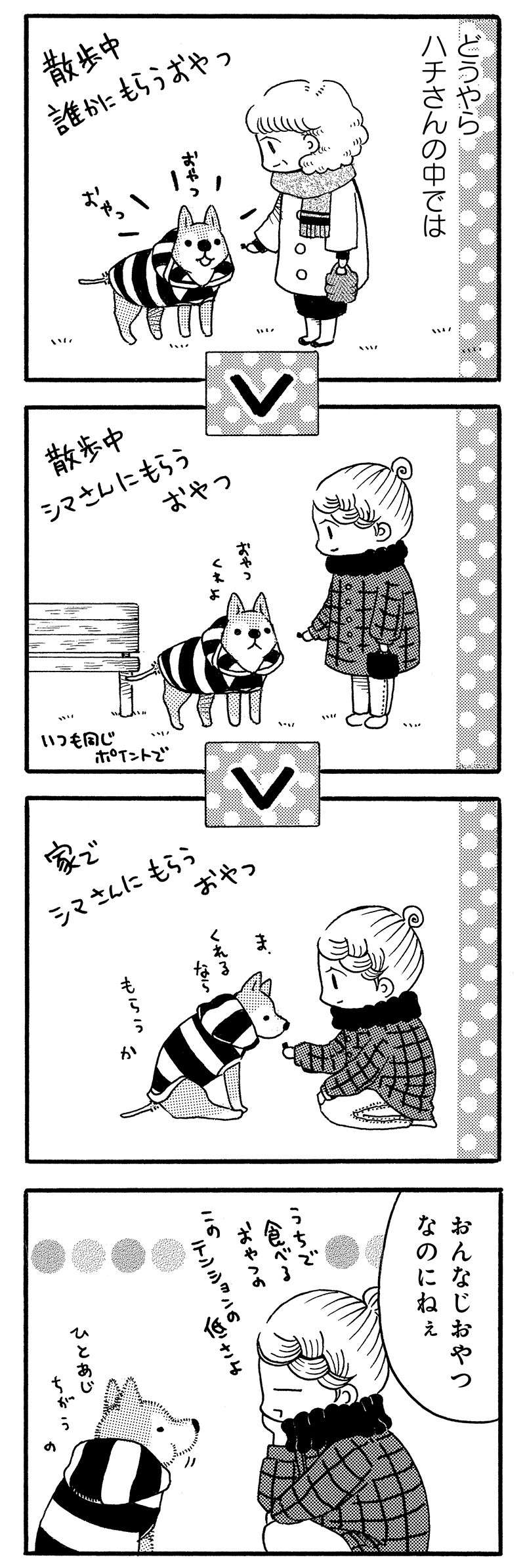 じいちゃん柴犬が散歩で出会うお友達。いなくなった今も...／じじ柴ハチさん 11.jpg