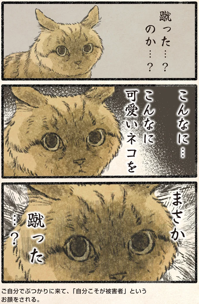 『今日もネコ様の圧が強い2』 62.webp